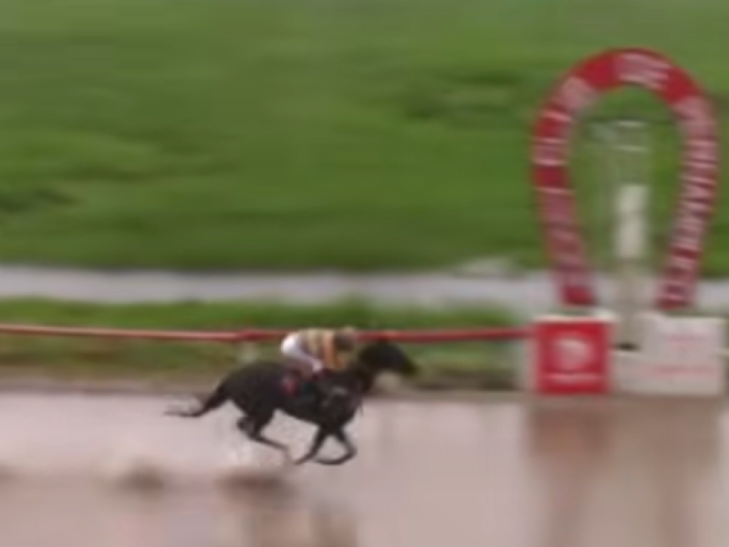 Foto: Nova Hart segue &agrave; procura de advers&aacute;rios, no Recife