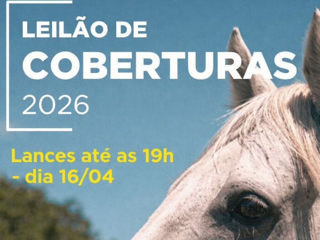 Foto: Leil&atilde;o de Coberturas da Copa dos Criadores: solicite ades&atilde;o ao grupo de WhatsApp