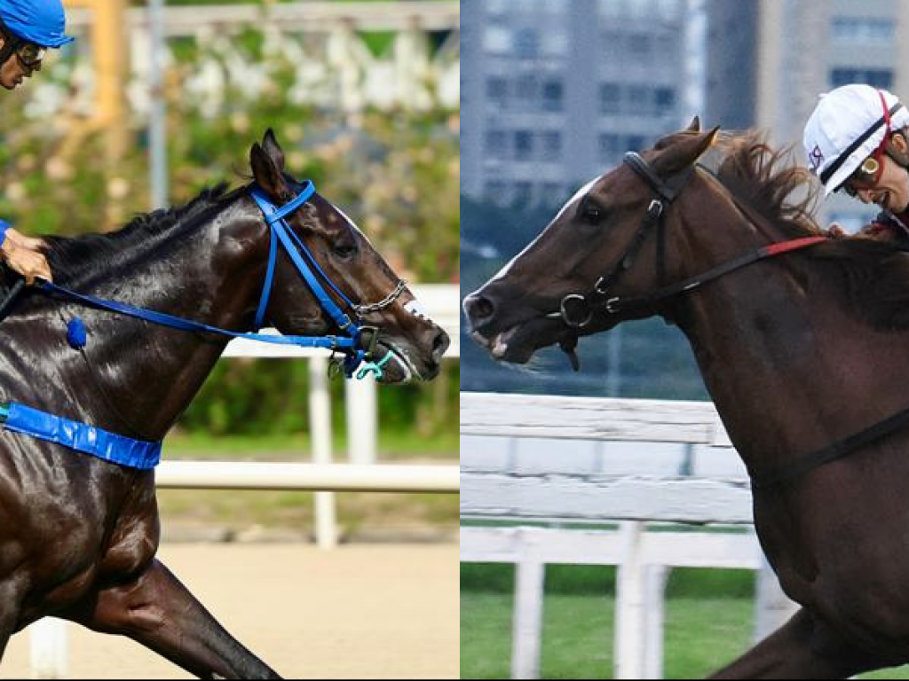 Foto: No domingo, Olympic Oman e Pivot Central buscam a gl&oacute;ria do "Latino"