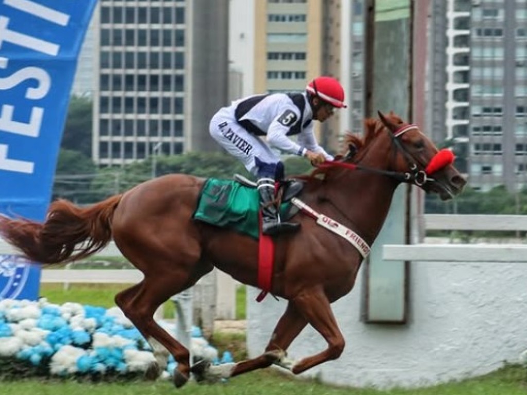 Foto: Sob a luz da lideran&ccedil;a, Iluminada vence o GP Jo&atilde;o Cec&iacute;lio Ferraz (G1)