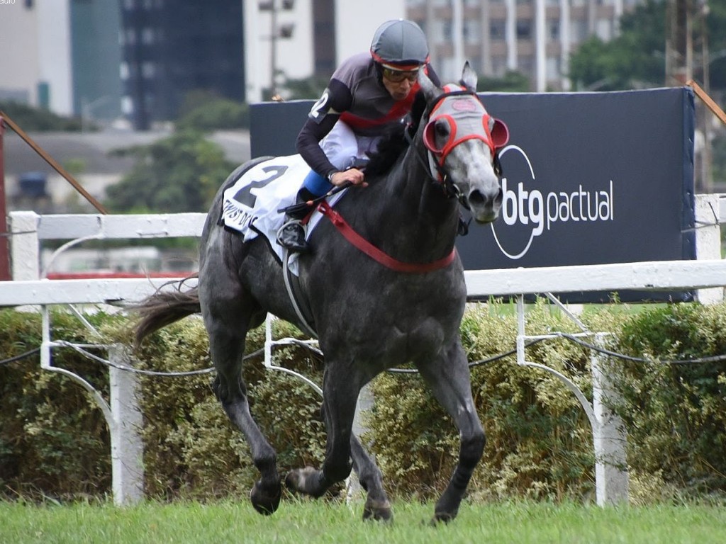 Foto: De ponta a ponta, Twist do Iguassu domina o GP Juliano Martins (G1)