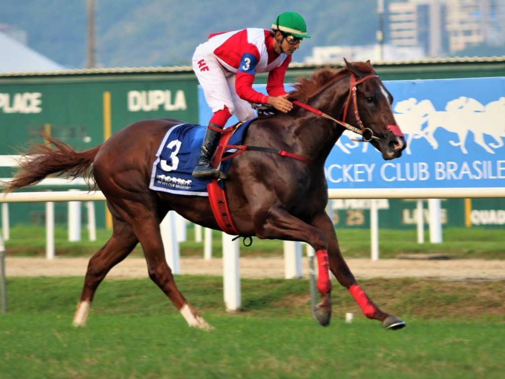Foto: Paid In Full levanta o Grande Pr&ecirc;mio Conde de Herzberg (G2)