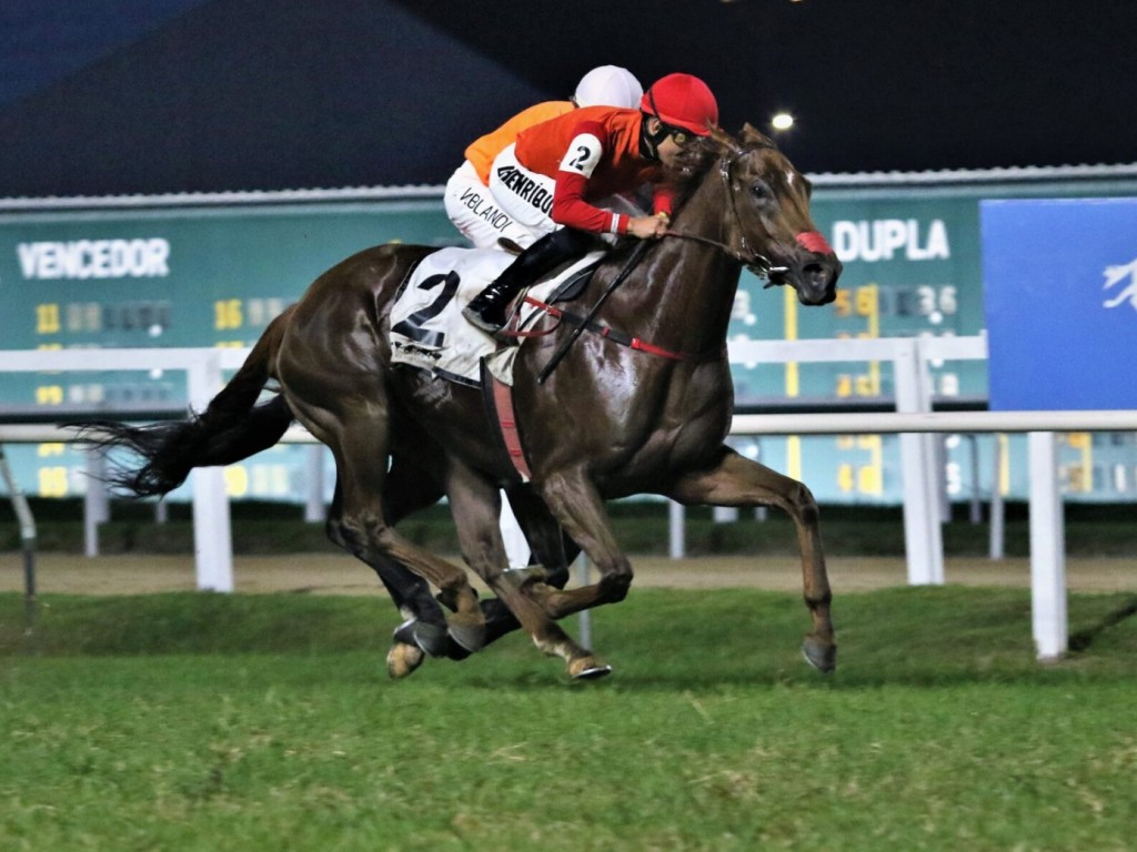 Foto: Solitary Daze comanda dobrada do Red Rafa em listed race