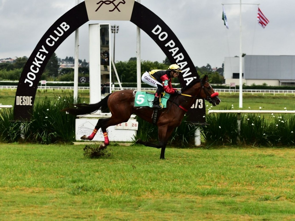 Foto: Entre os machos, Rabat Again vence com autoridade