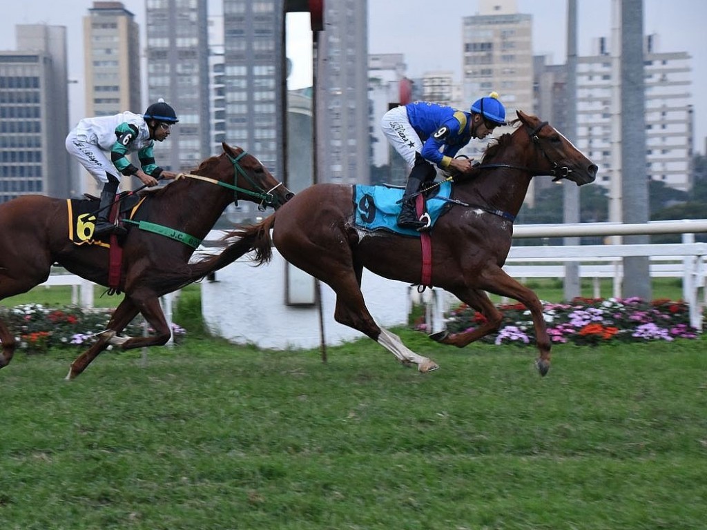 Foto: Mipo atropela com sucesso no Cl&aacute;ssico C&acirc;ndido Egydio de Souza Aranha (L)