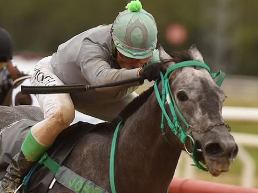 Foto: No Cl&aacute;ssico Corejada, melhor para Una Cocagne