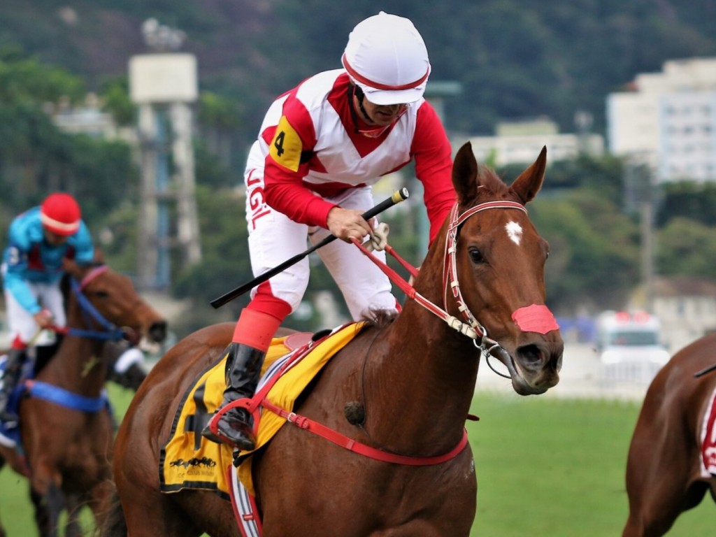 Foto: Gevrey-Chambertain imp&otilde;e categoria no GP Onze de Julho (G2)
