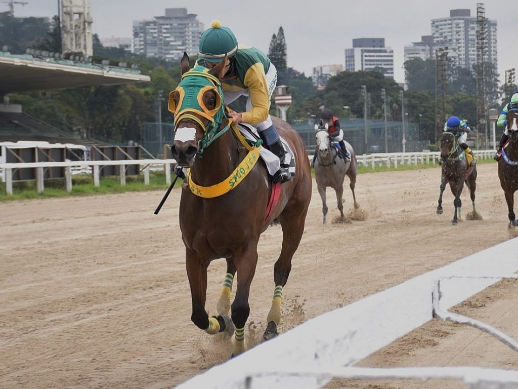 Foto: Niamore volta a vencer, em Cidade Jardim