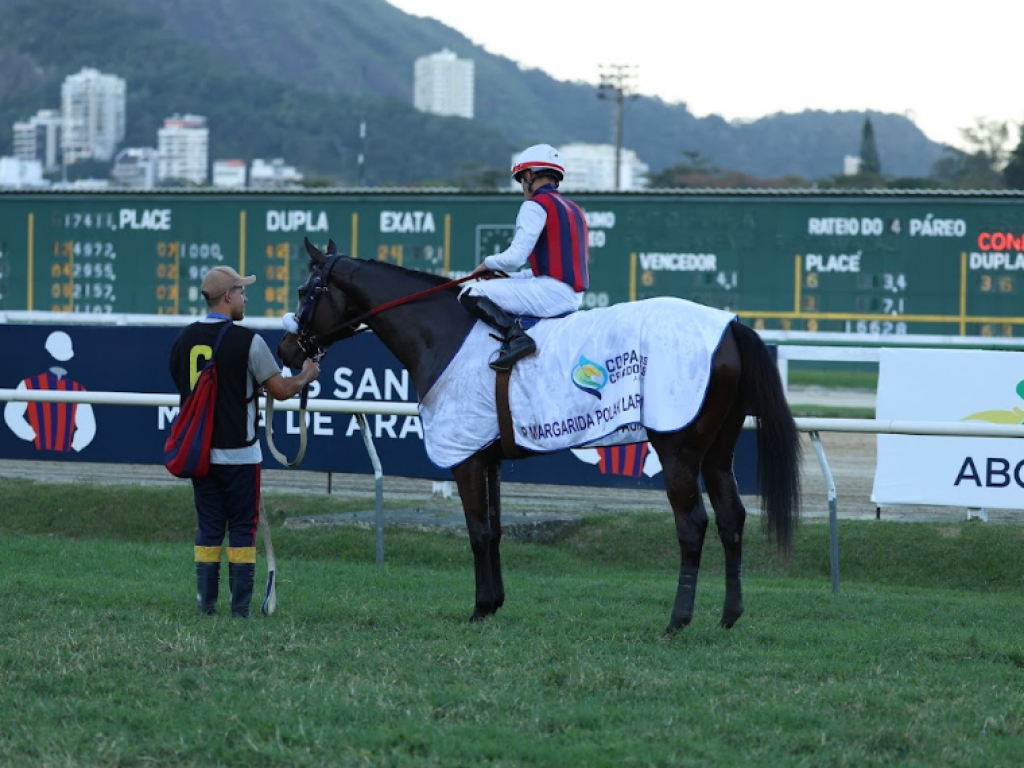 Foto: Animais melhor apresentados tamb&eacute;m renderam premia&ccedil;&otilde;es a cavalari&ccedil;os