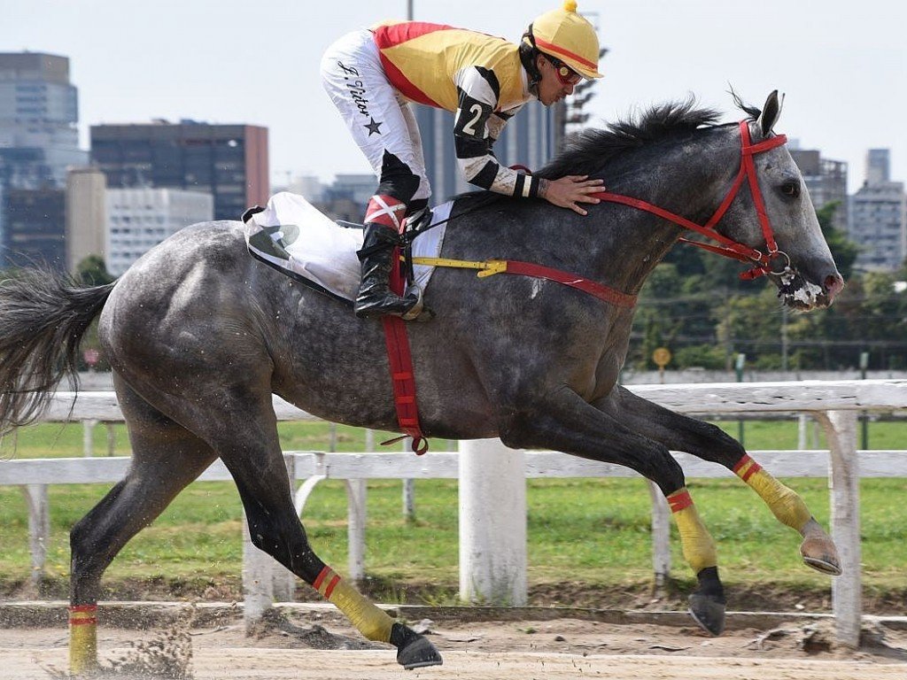 Foto: Tail Gate vence, com facilidade, o Handicap Especial Eu Tamb&eacute;m