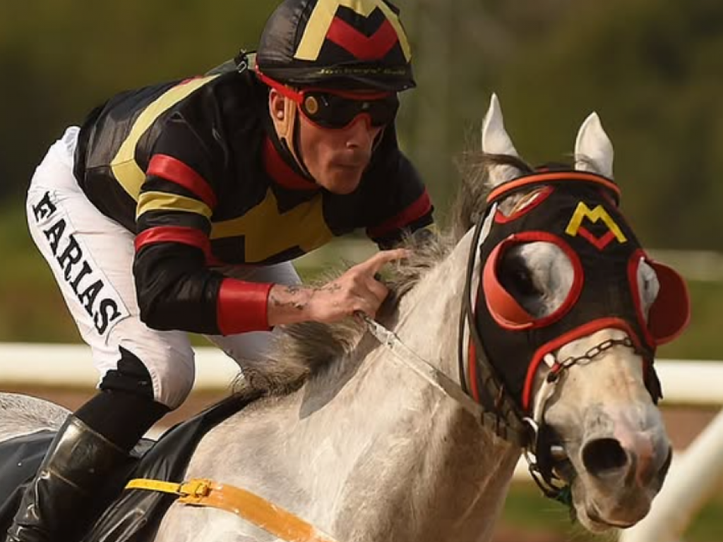 Foto: Cristal: entre os potros, melhor para Xangai Kentuckian