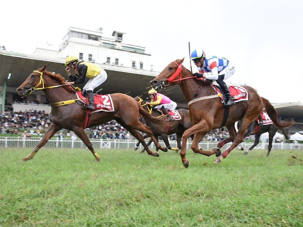 Foto: Vip Na Balada imp&otilde;e suas virtudes e vence o GP Bar&atilde;o de Piracicaba (G1)