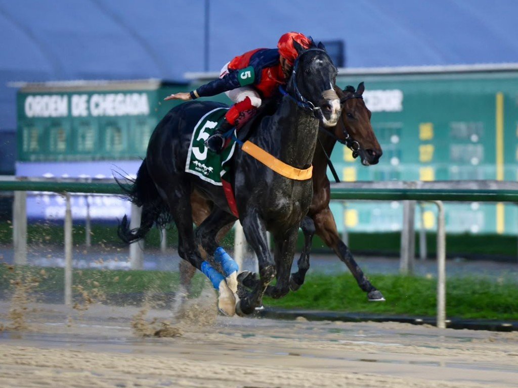 Foto: Ozone Layer reaparece com vit&oacute;ria no GP Adhemar e Roberto Gabizo de Faria (G3)
