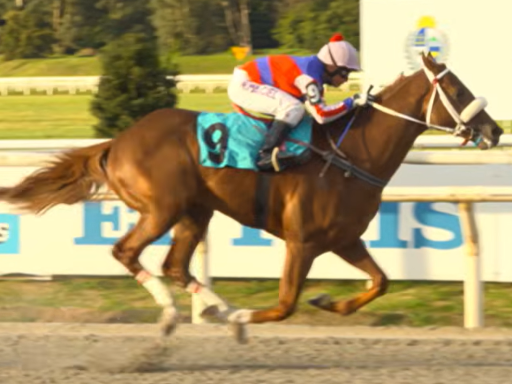 Foto: Maro&ntilde;as: International Star vence listed e vai ao "Jockey Club"