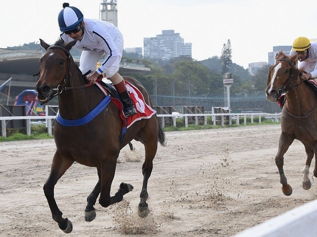 Foto: Ghiacciata se revela na areia e conquista batismo cl&aacute;ssico