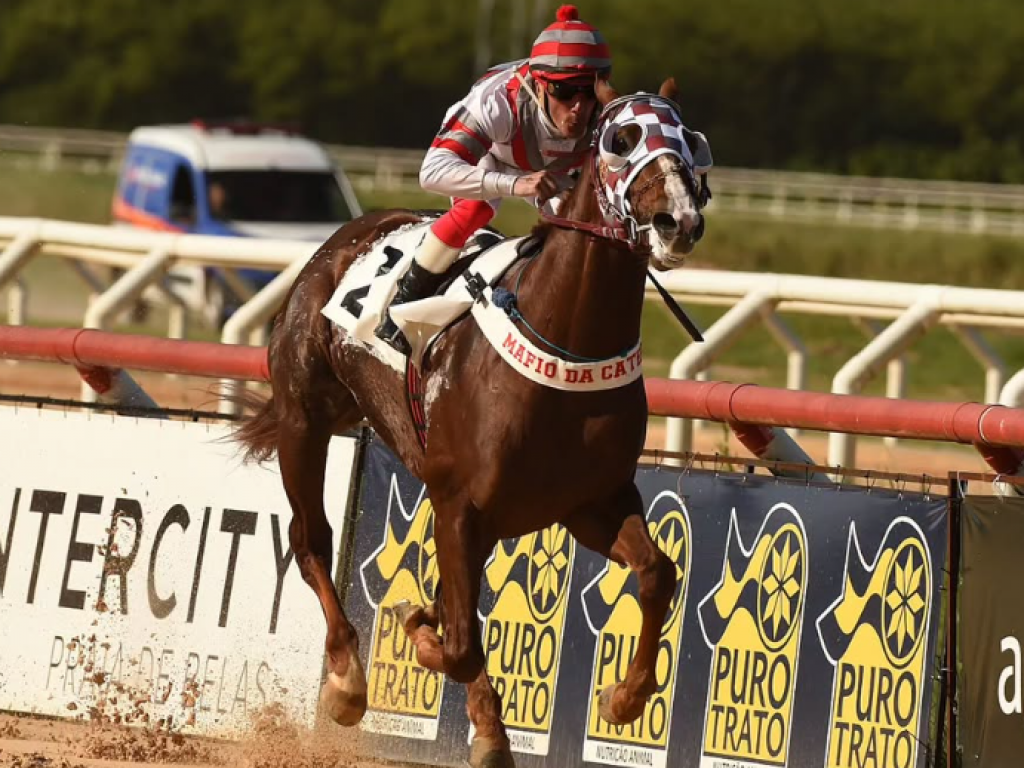 Foto: Spartacus da Lagoa impressiona entre os potros