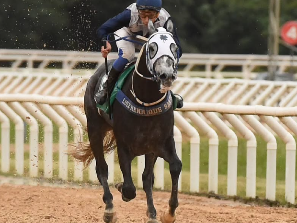 Foto: Joyfull Thunder larga e acaba no Derby Riograndense
