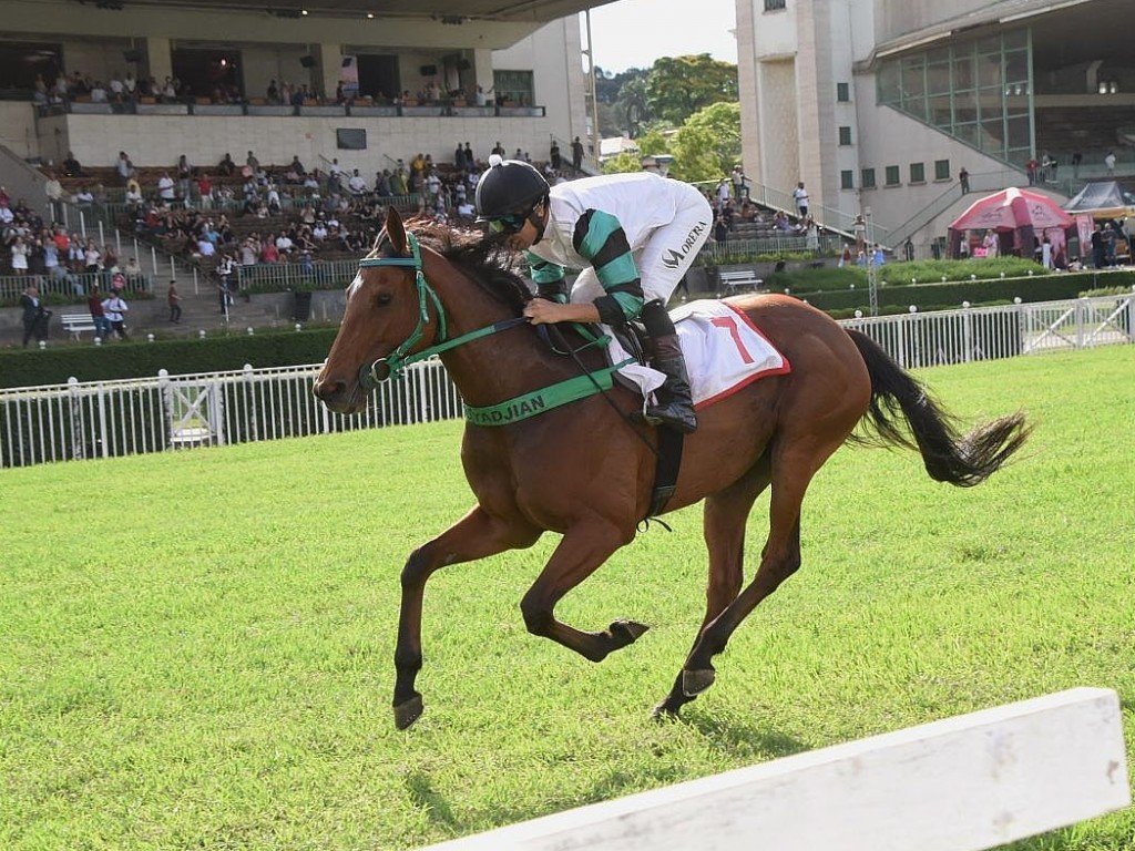 Foto: Hall da Fama vence e convence no GP Luiz Fernando Cirne Lima (G3)
