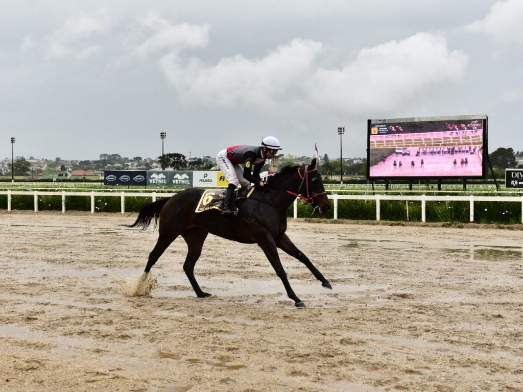 Foto: Troia do Iguassu: reaparecimento de luxo na "Fillies"