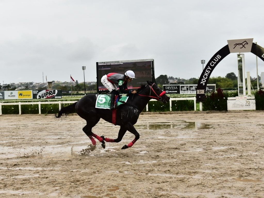 Foto: Na redu&ccedil;&atilde;o de dist&acirc;ncia, Trump do Iguassu impressiona na "Sprint"