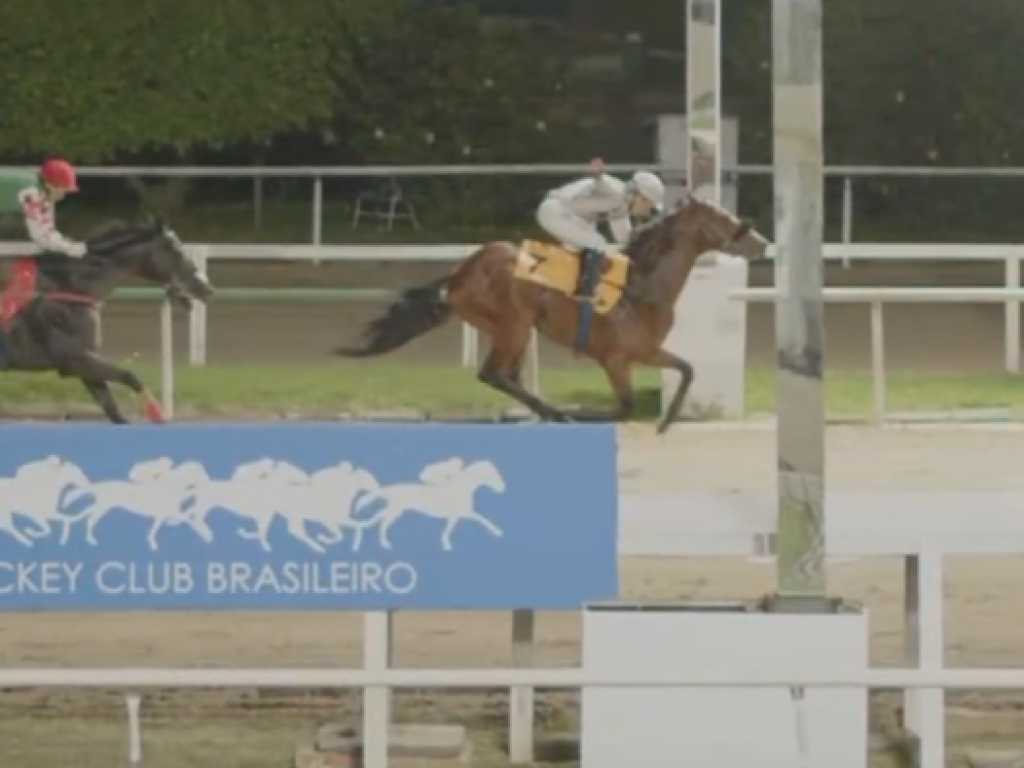 Foto: Voando Alto deixa os advers&aacute;rios para tr&aacute;s no Cl&aacute;ssico Much Better (L)