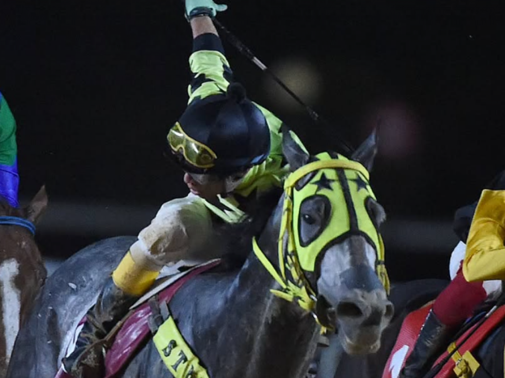 Foto: Olympic Park embala festa do Stud Kategoria, em Porto Alegre