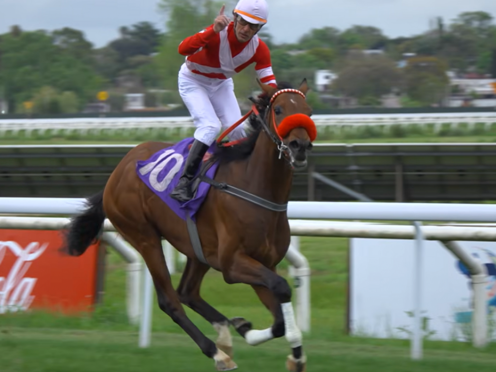 Foto: Maro&ntilde;as: absoluto na grama, Camadigato vence listed race