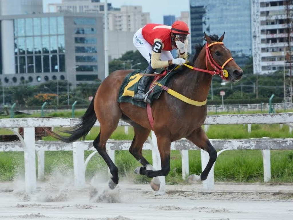 Foto: Cada vez mais líder, Knight of Glory vence outra listed race em São Paulo