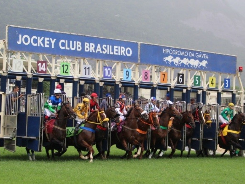 Foto: Jockey Club Brasileiro e Jockey Club do Paraná aprovam utilização de fenil