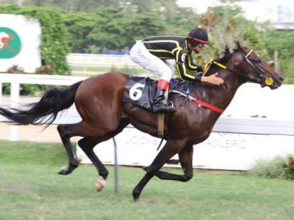 Foto: Em ótima marca, Thunder Cat vence mais uma na Gávea