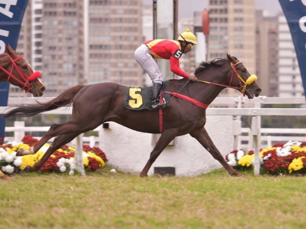 Foto: Neruda confirma favoritismo na Prova Especial Giant