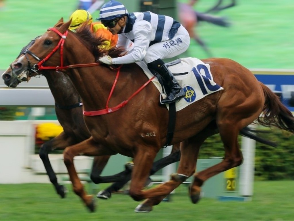 Foto: Halston tem inscrição confirmada no Hong Kong Derby do próximo domingo