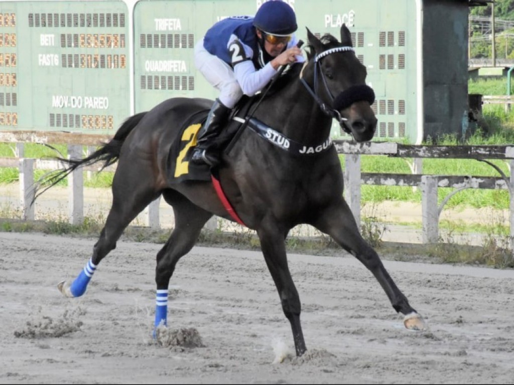 Foto: SP: Eliz do Jaguarete e First Fighter confirmam favoritismos na sabatina