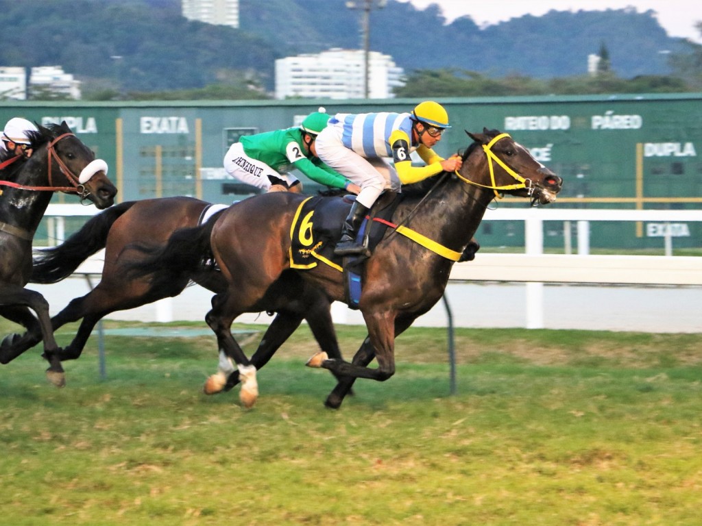 Foto: Mais Que Bonita confirma favoritismo no GP Onze de Julho (G2)