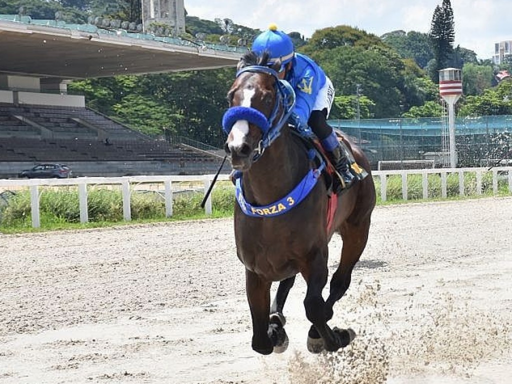 Foto: Pedigree & Black Type: os Ganhadores Clássicos no Brasil - 31ª Edição