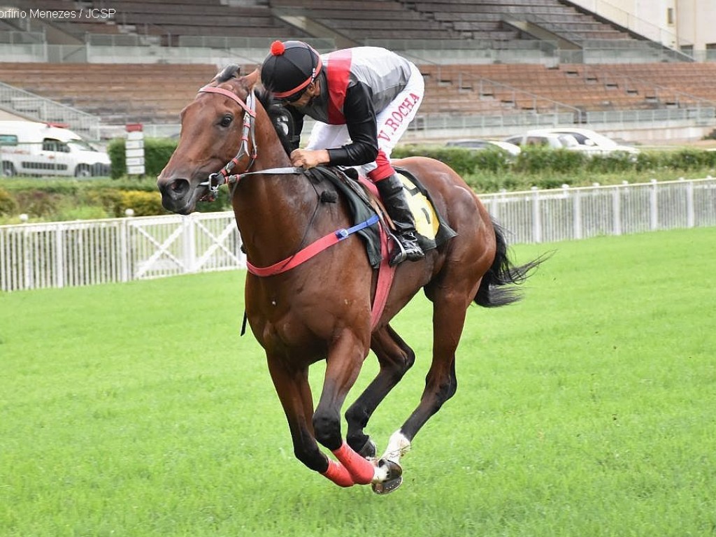 Foto: Campelanda levanta o GP Presidente do Conselho do Jockey Club (G2)