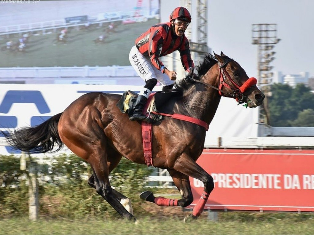 Foto: Olympic Jhonsnow mantém hegemonia do Haras Regina no GP Presidente da República