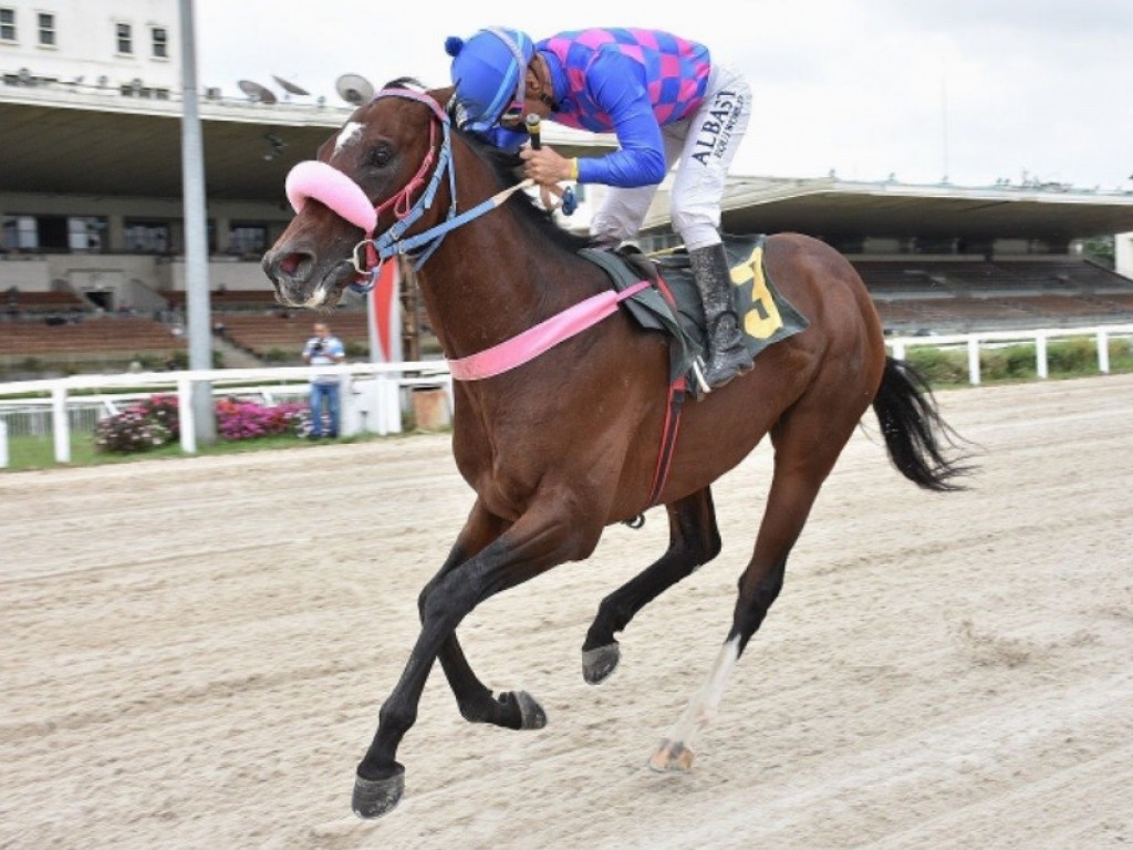 Foto: PE Humberto Malzoni Scarano: Karmanguia largou em último e cruzou em 1º!