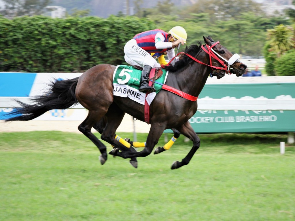 Foto: No quilômetro, Jasmine conquista batismo clássico