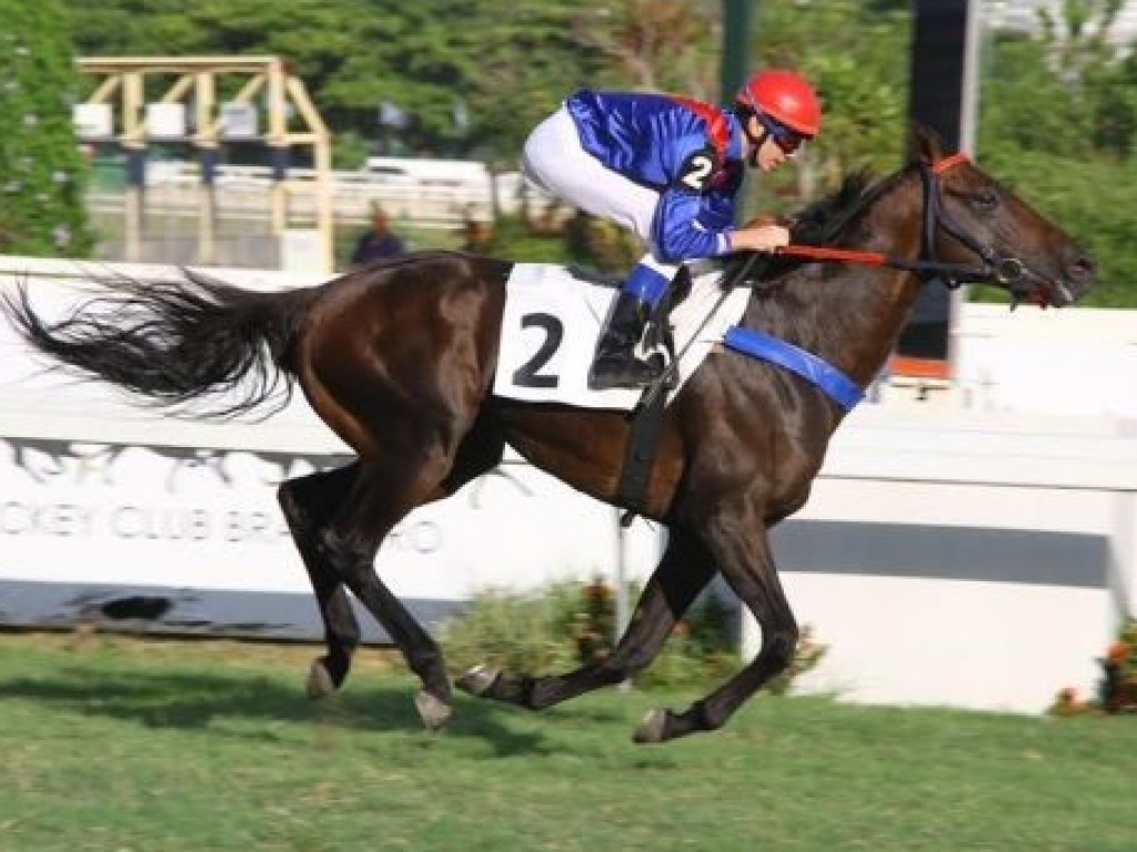 Foto: Céu de Brigadeiro vence a Prova Especial Falcon Jet