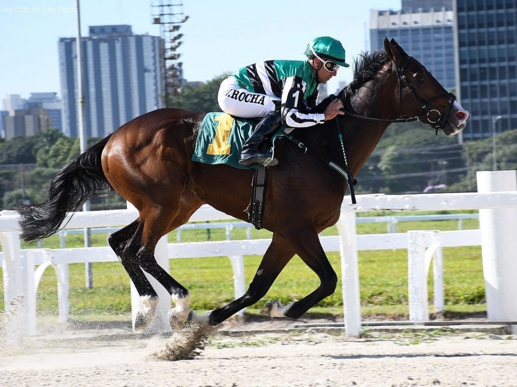 Foto: Opazo: domínio total no GP Antenor de Lara Campos (G3)