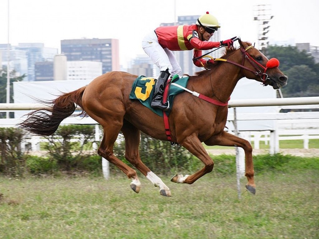 Foto: Tinindo, Concentré conquista o "bi" na Prova Especial Teothonio Piza Lara