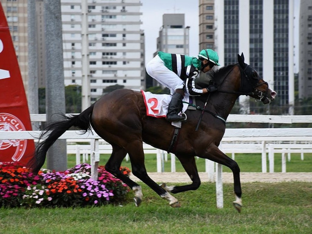 Foto: Soberbo, Opazo esbanja qualidade no GP Jockey Club de São Paulo (G1) e fica a um passo da tríplice coroa