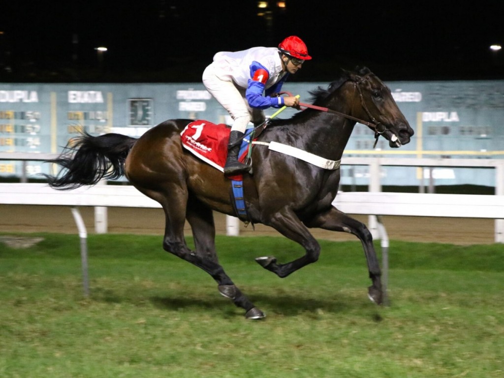 Foto: Bloody Mary, a melhor no GP Marciano de Aguiar Moreira (G2)