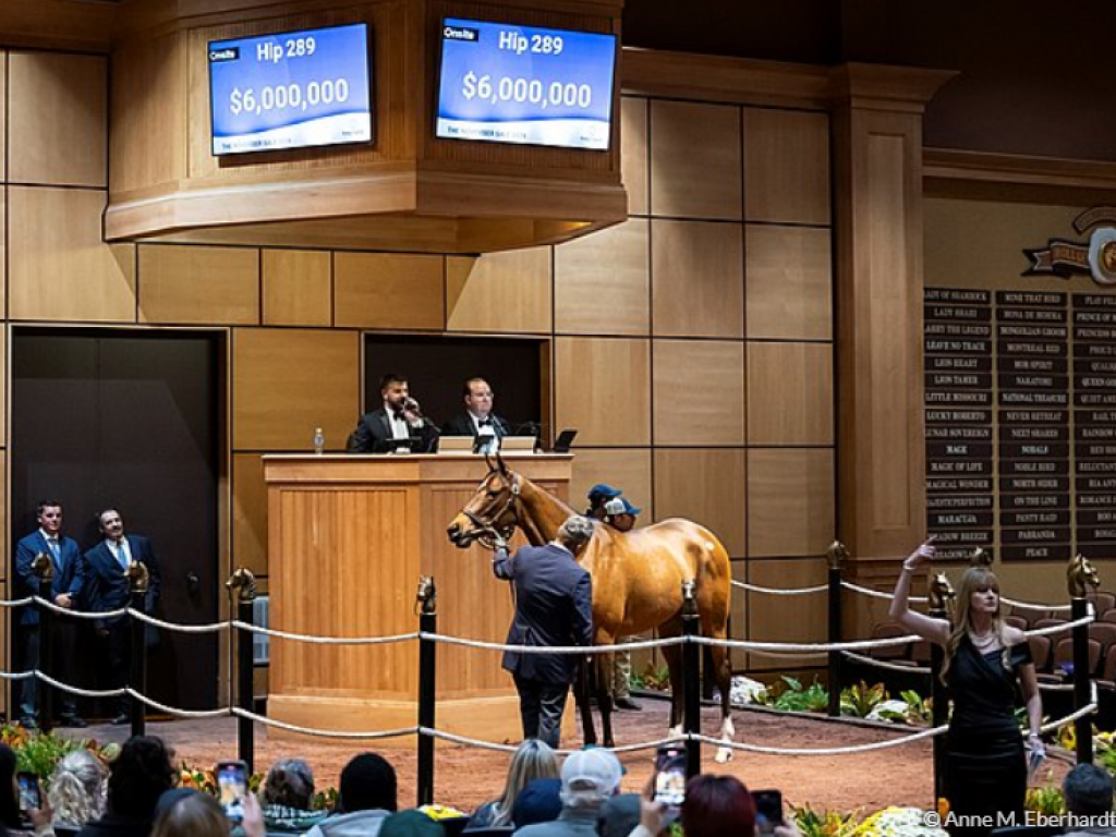 Foto: Mercado: vendas de Fasig-Tipton e Keeneland, somadas, ultrapassam US$ 290 milhões