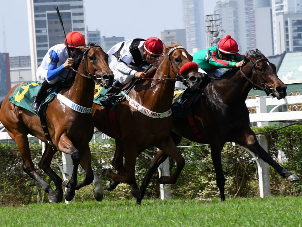 Foto: Em final de emoção, Tamara conquista batismo clássico e vence G2