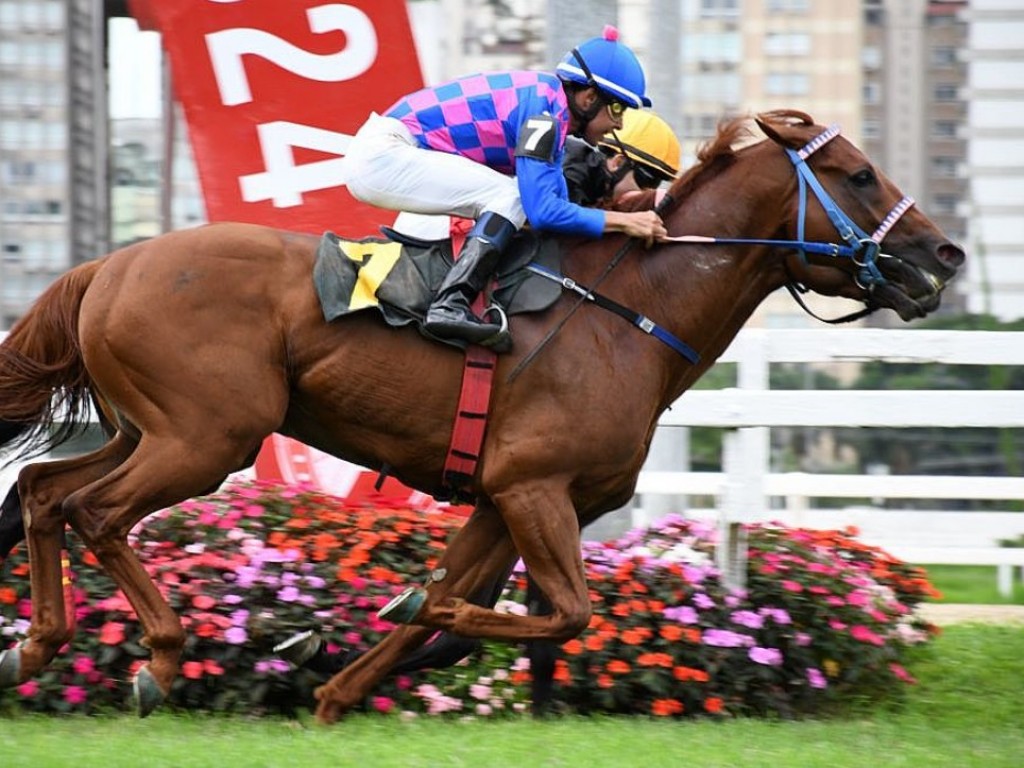 Foto: For Expor emplaca segunda vitória clássica "a fio", no GP Governador do Estado (G2)