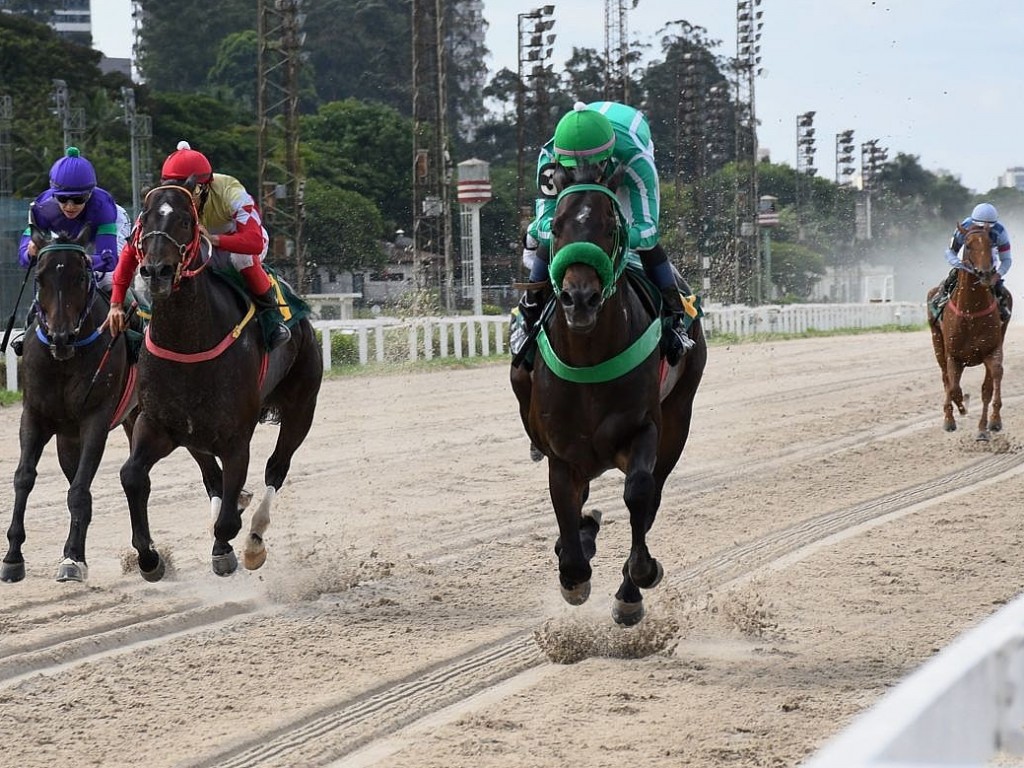 Foto: Kruswarovski confirma e levanta a PE General Euclydes de Oliveira Figueiredo