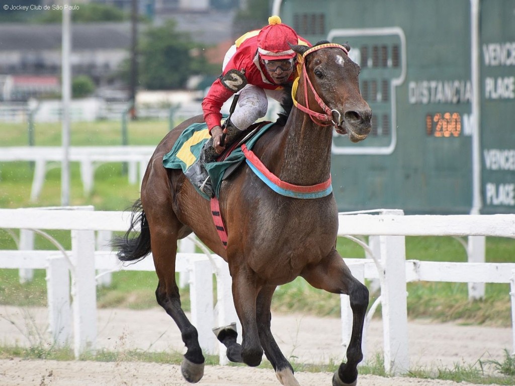 Foto: Once Upon A Time: dobrada do Stud Sion na Prova Especial Almirante Barroso