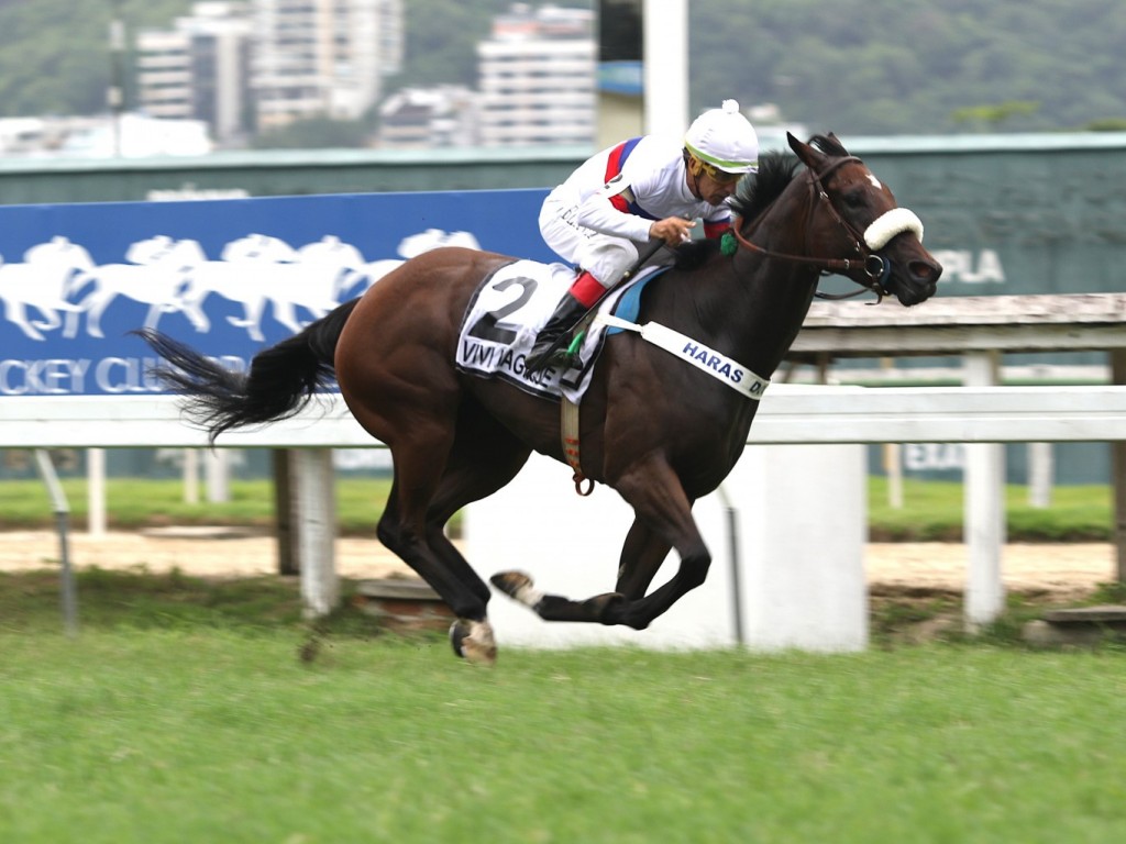 Foto: Vivi Magique: absoluta no Grande Prêmio Cordeiro da Graça (G2)